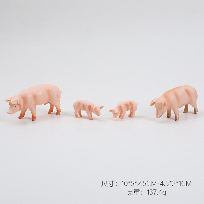 Four family pigs