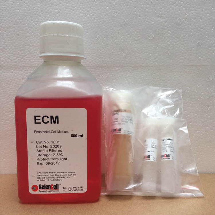Sciencell 1001 内皮细胞培养基 Endothelial Cell Medium 干冰运