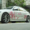 Car cherry blossom car sticker personality Creative car door cover scratch sticker bumper light eyebrow decorative supplies sticker