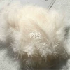 Meat powder