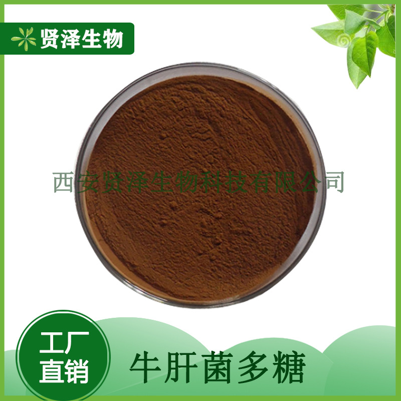 牛肝菌多糖50% 牛肝菌提取物 水溶性 野生牛肝菌粉 现货供应 贤泽
