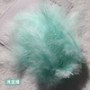 Light blue -green