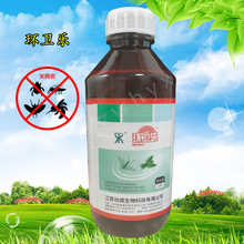 �h�l��21%���ȑ������e��������nωșˮ���⚢�x������������