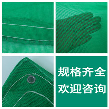 批发密目式防护网 绿色安全网2000目阻燃网聚酯网聚乙烯厂家直供