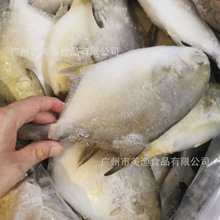 ���r�΃�������K�~����~�׽��K�~�ك�����ʳ�ĸ��NҎ��10kg�ؼ�
