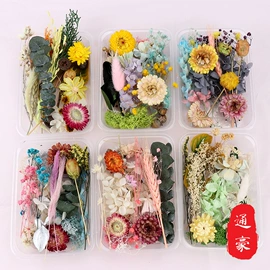 鲜花花艺制品;永生花;干花