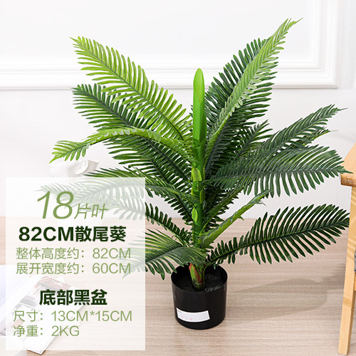 82CM