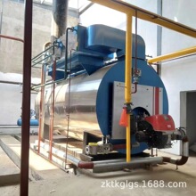 �ܿ�CWNS4.2-85/60ȼ���ˮ偠t�r�� 6����Ȼ���ˮ偠t�Ě���