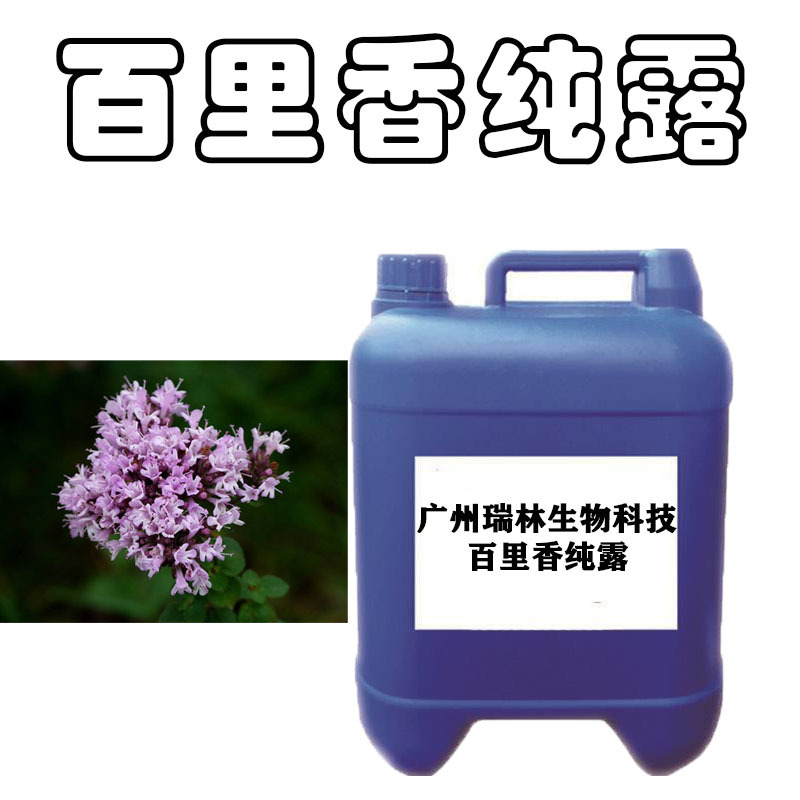 批发天然百里香纯露 天然植物花水提取液 保湿补水化妆品 diy原料
