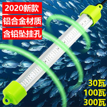 2021¿羳300WϽDC12V̰ɫLED