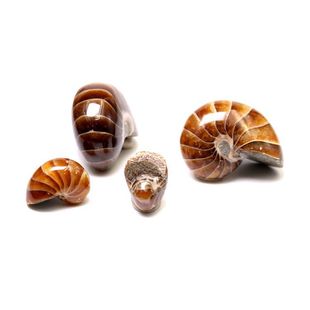 �����ﻯʯ�W�^�ݻ�ʯ�^������ʯԭʯ�߲��ݿ��ս̌W�˱���ʯ�[