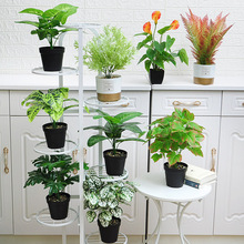 �͏d�[������ ���l�҃��bٻ��Gֲ���[������� ����ֲ���辰