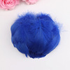 Factory direct selling supply high -quality dyed goose feathers diy -colored feathers wave ball feathers fill feathers