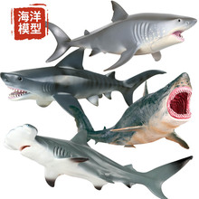 跨境仿真海洋生物海底世界鲨鱼模型虎鲨大白鲨巨齿鲨锤头鲨玩具
