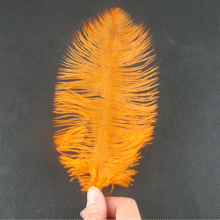 오렌지 50 루트 배치