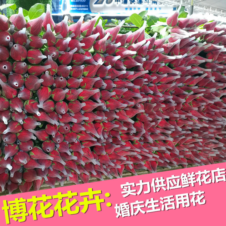 Yunnan Kunming Rose Flower Wholesale Goddess Day Gift Direct Batch Flower Shop Wedding Venue Layout Flowers