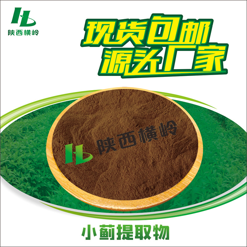 小蓟提取物 30:1小蓟粉 刺儿菜/刺蓟菜提取物 含小蓟皂甙 包邮