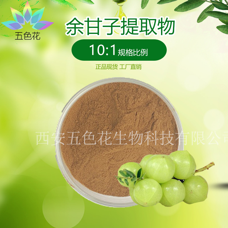 余甘子提取物10:1 水溶全溶 余甘子粉 另有多规格 厂家现货 包邮