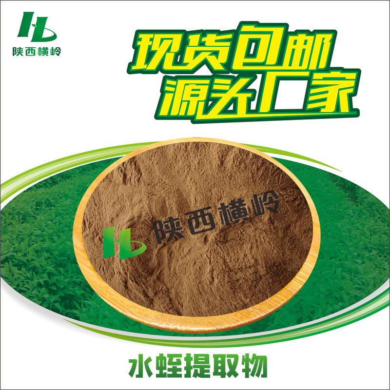 水蛭提取物 50:1高比例水蛭素 蚂蟥提取物 水蛭粉 500g/袋 水溶性