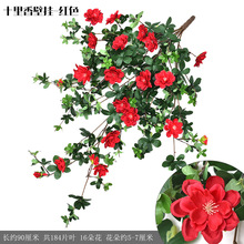 õ�廨�ٗl�������ϻ��ٻ�����ֲ����@�ڒ��b��������羳����
