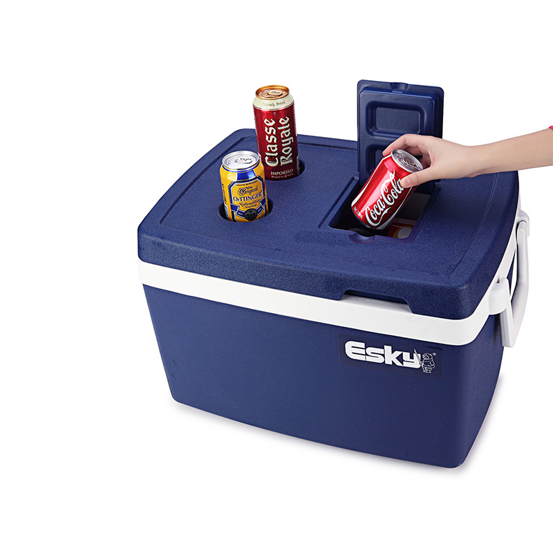 Clásico clásico serie incubadora entrega de gran capacidad acampar al aire libre cena portátil congelador por mayor