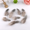 Spot supply of pearl feathers Yiwu feathers DIY feather manufacturer wholesale decorative feathers
