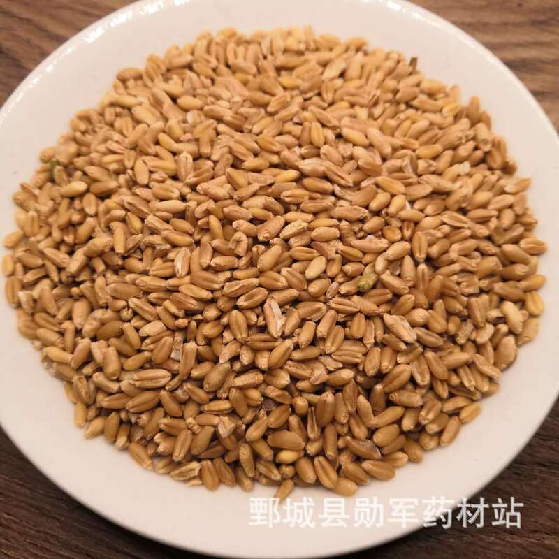 Floating Wheat Chinese Herbal Medicine Wholesale Supply Floating Wheat Origin Direct Sales Large Favorably Floating Wheat Chinese Herbal Medicine Wholesale Supply Floating Wheat Origin Direct Sales Large Favorably