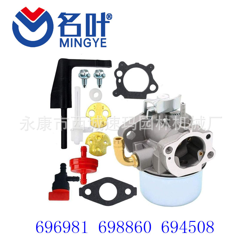 Famoso fabricante de la hoja del carburador Briggs & Stratton 696981 698860 694508 795069