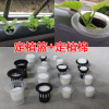 Factory planting basket hydroponic plastic hydroponic hydroponic vegetable no soil cultivation solid root device hydroponic planting basket cotton combination