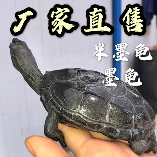 ī����ȫ��С�����ڸ��������A������ؔ������ˮ�^�p������B