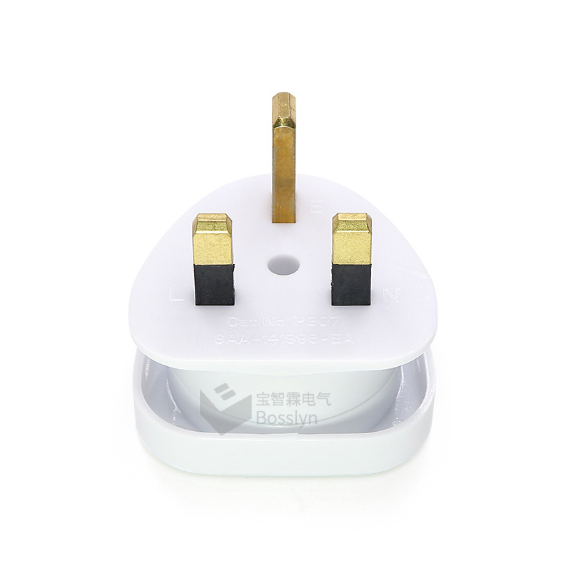 AUS TO BS转换插座 电源转换插座
