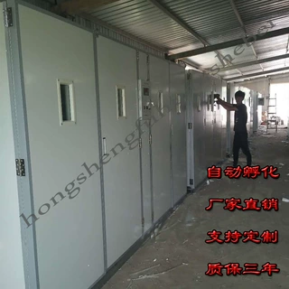 智能孵化设备孵化器 蛋车型全自动孵化机 1万枚 大型孵蛋机器鸡用