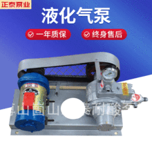 YQB3-5液化气泵 倒气泵加气泵 48V倒 气泵 液化气b泵配件  导气泵