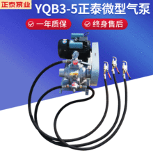 正泰YQB3-5微型气泵小型液化气泵倒气 冲装导气泵 钢瓶丙烷导气泵