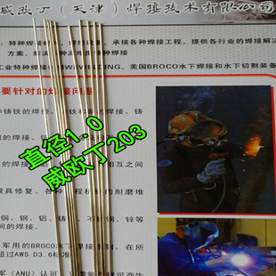�~�F���P䓻��溸�ӌ��øߏ���25%�y���z���W��203�y�Ͻ𺸽zA203