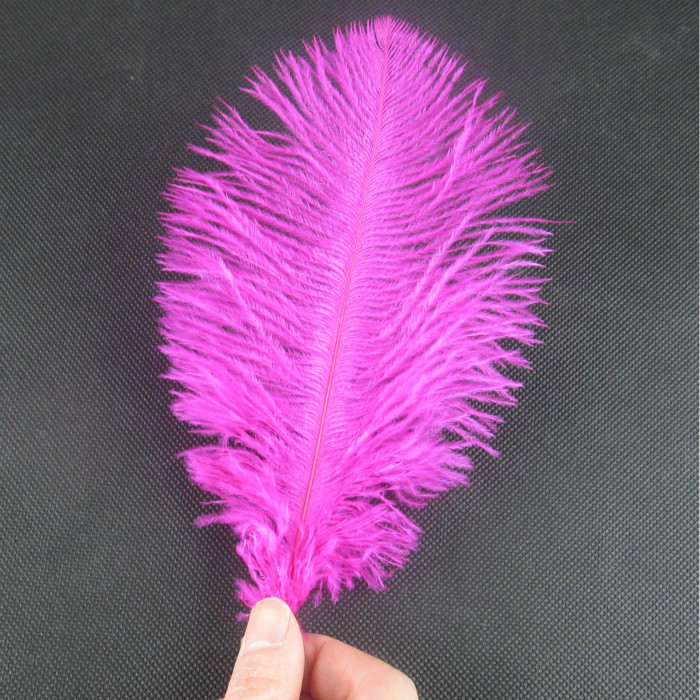 로즈 레드 50 루트 배치