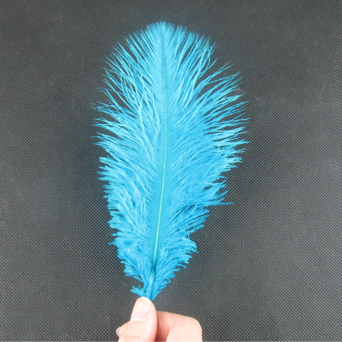 레이크 블루 50 PC