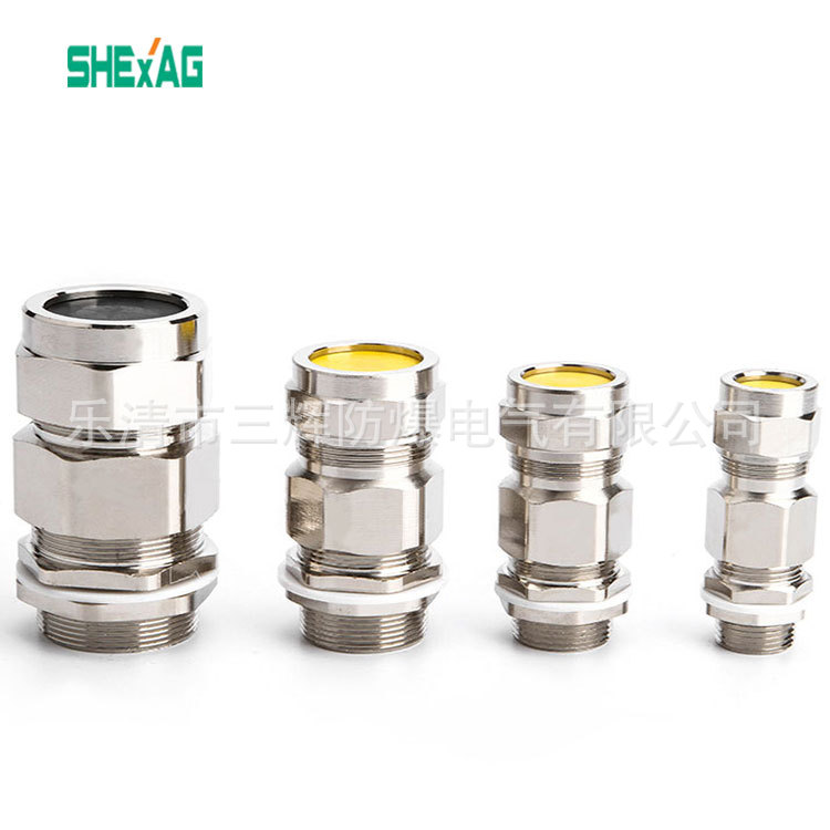不锈钢电缆防水接头304BDM系列防爆填料函铠装防爆格兰头防爆软管