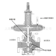 SENSUS 441-57Sȼpy