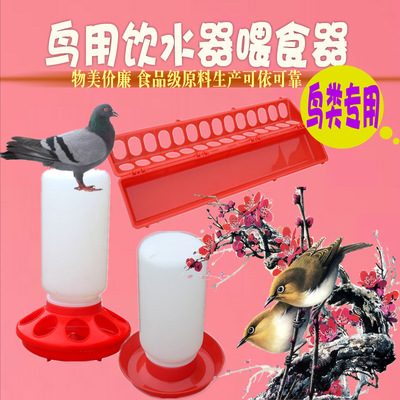 new pattern Export-oriented Birds Water dispenser Feed Screw kettle dove Water bowl series