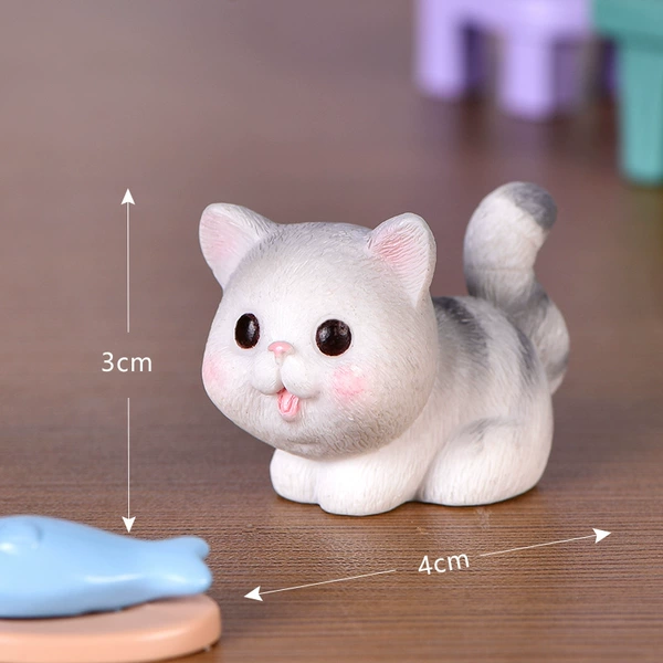 No. 7 gray cat