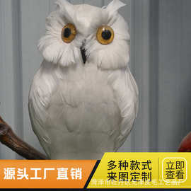 仿真猫头鹰动物园装饰摆件拍摄道具仿真鸟厂家直售户外仿真摆件