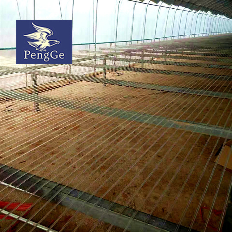 批发出售养殖大棚拖网线 塑钢线4mm网床线大量现货