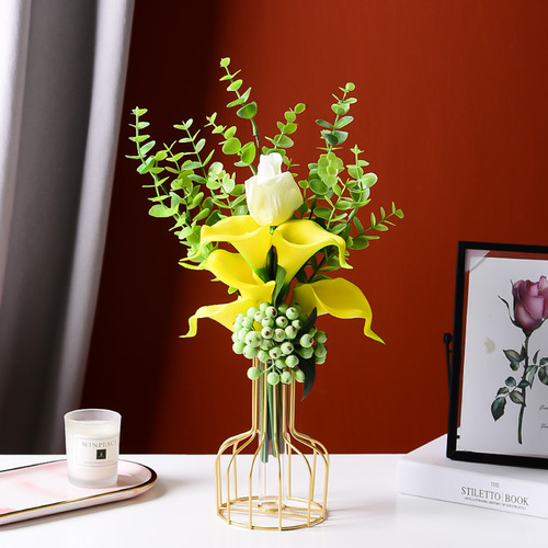 Nordic iron golden hydroponic glass vase ornaments, living room table decoration, dried flowers, pothos hydroponic