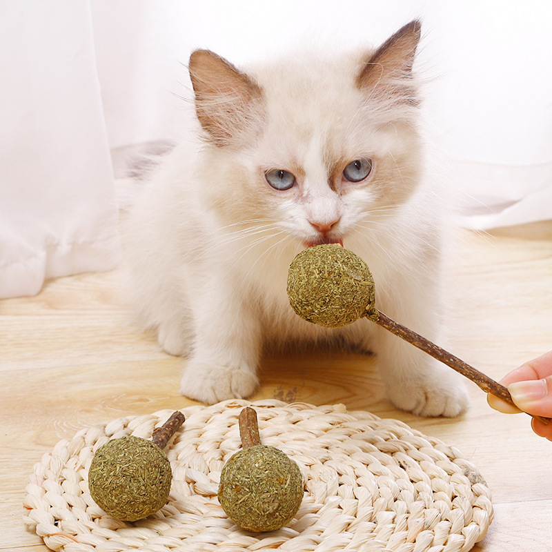 Spot al por mayor Pipi Amoy Bola de pelaje Palillo de limpieza de dientes de gato 1 paquete de juguetes naturales Piruleta de polygonum de madera de menta de gato