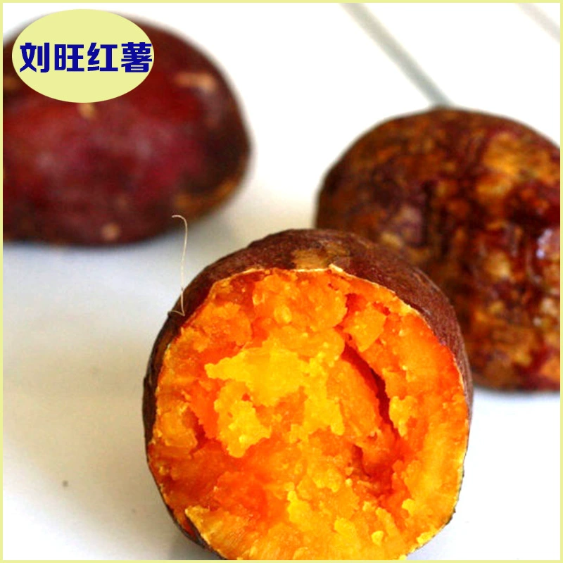 Xiongxian жареный сладкий картофель поставляет свежий жареный сладкий картофель