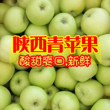 陕西富士青苹果早熟富士苹果青苹果新鲜现摘当季水果酸甜大果9斤