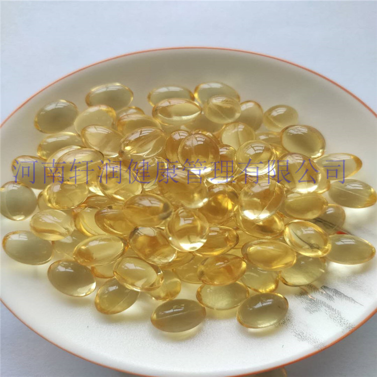 海藻钙蓝莓软糖生产代加软胶囊工压板10粒/板叶黄素脂咀嚼软胶囊