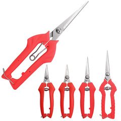 園林摘果剪葡萄稀果剪花椒修枝剪芽尖直頭不鏽鋼採摘水果剪刀鋒利