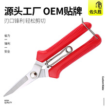 源头厂货 疏花剪葡萄荔枝采果修枝剪刀 园林园艺工具稀果剪